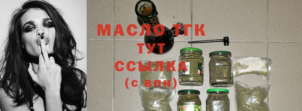 дмт Каменка