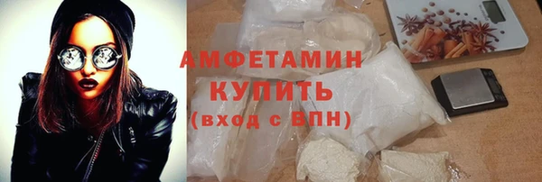 дмт Каменка