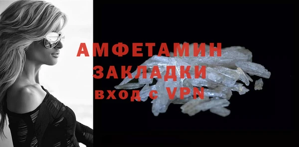 дмт Каменка