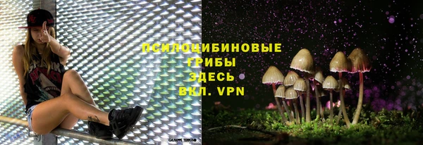 дмт Каменка