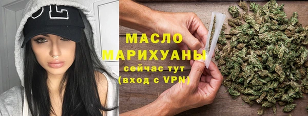 дмт Каменка