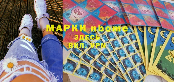 дмт Каменка