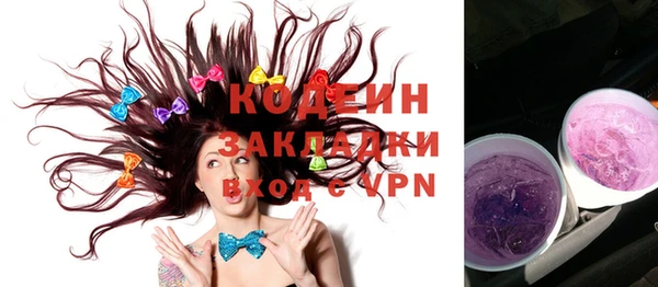 дмт Каменка