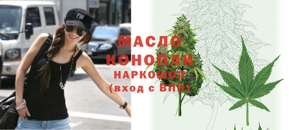 дмт Каменка