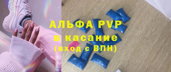 дмт Каменка